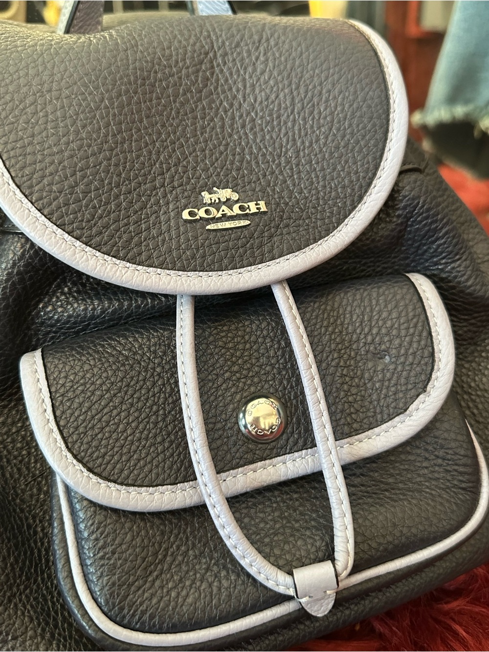 Coach Backpack - Mini - Picture 2 of 7